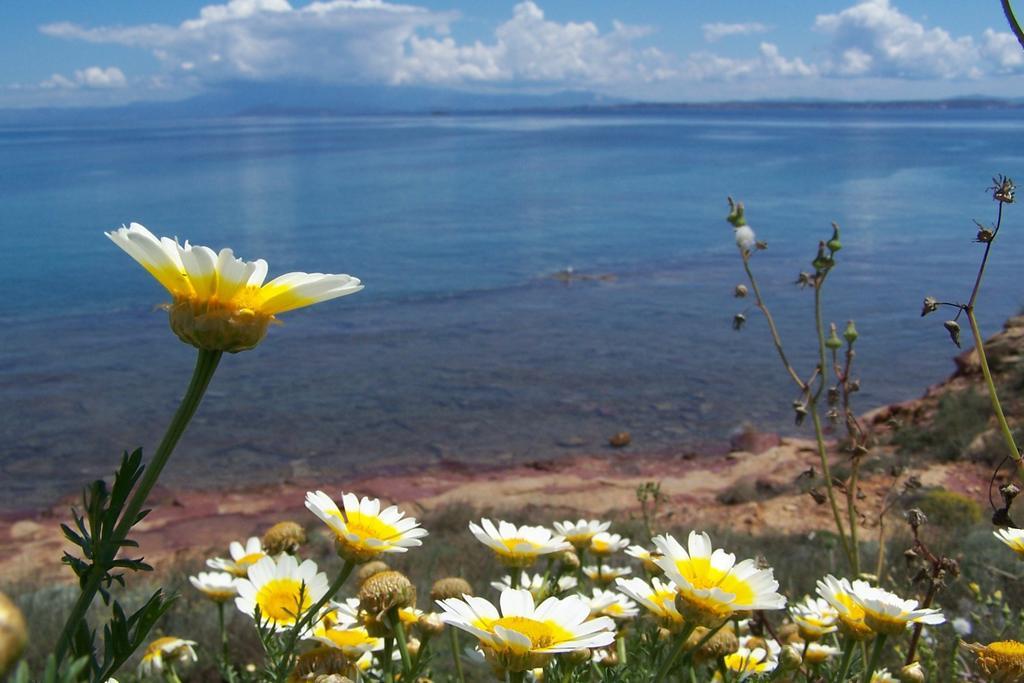 Aegean Bliss Residences Karfas การ์ฟัส ภายนอก รูปภาพ